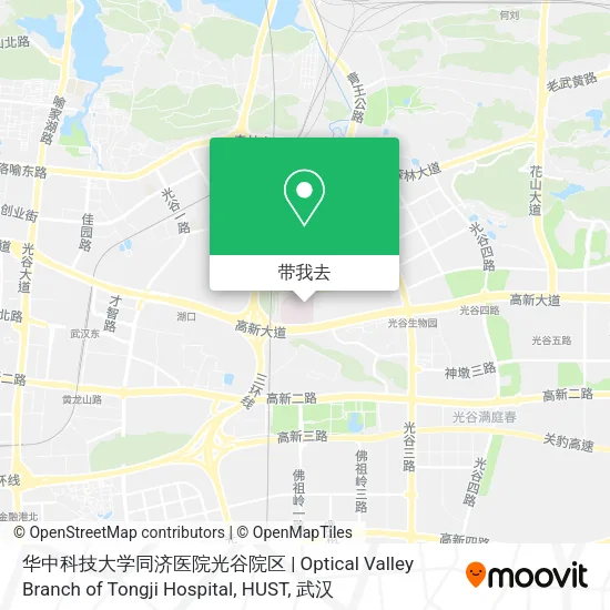 华中科技大学同济医院光谷院区 | Optical Valley Branch of Tongji Hospital, HUST地图