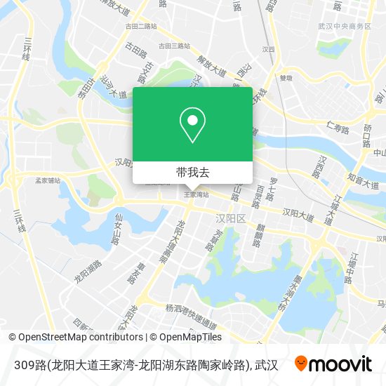 309路(龙阳大道王家湾-龙阳湖东路陶家岭路)地图