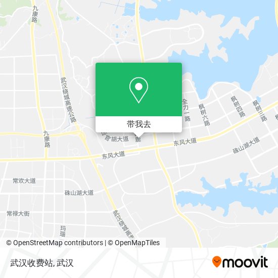 武汉收费站地图