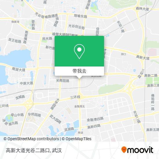高新大道光谷二路口地图