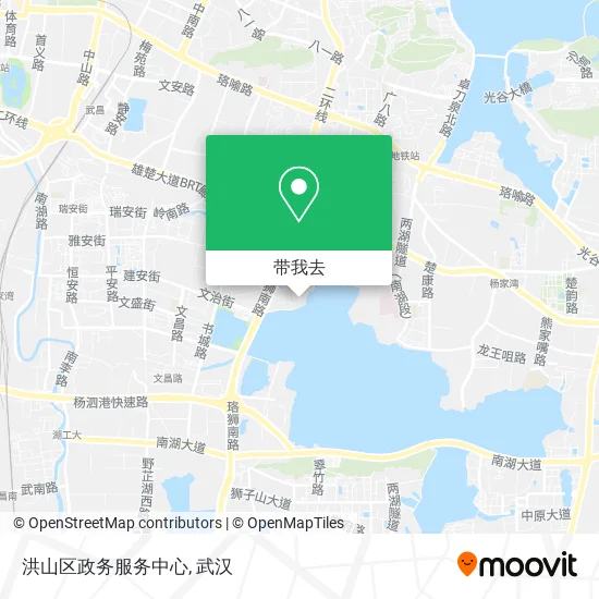 洪山区政务服务中心地图