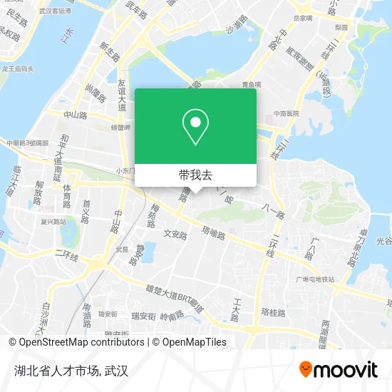 湖北省人才市场地图