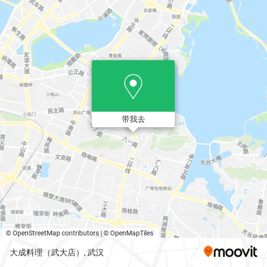 大成料理（武大店）地图