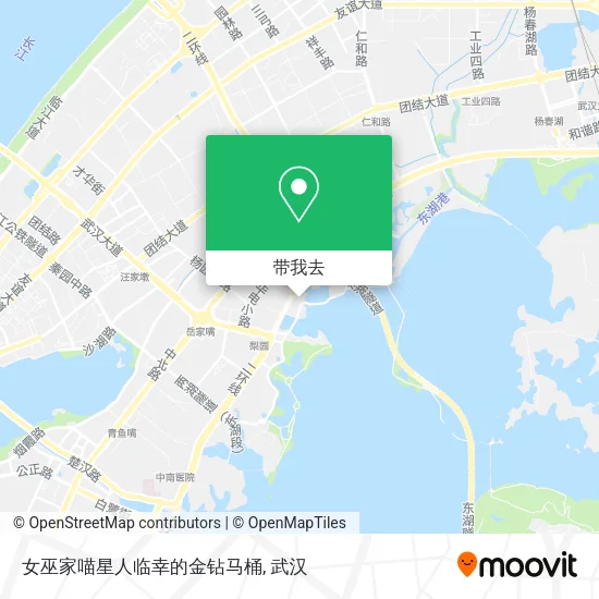 女巫家喵星人临幸的金钻马桶地图