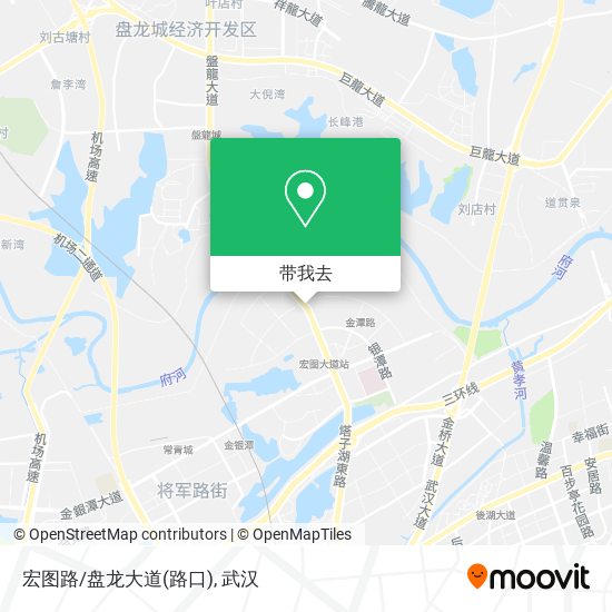 宏图路/盘龙大道(路口)地图