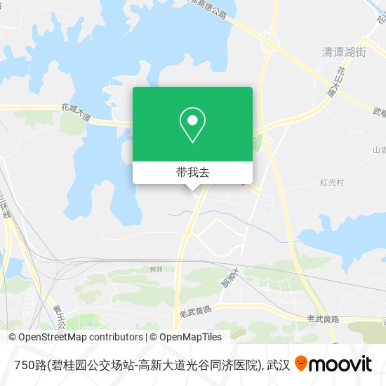 750路(碧桂园公交场站-高新大道光谷同济医院)地图