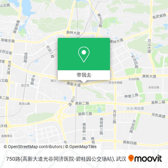 750路(高新大道光谷同济医院-碧桂园公交场站)地图