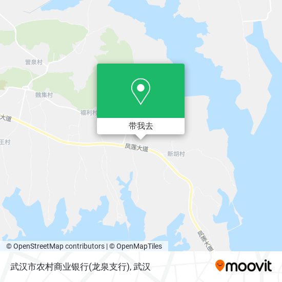 武汉市农村商业银行(龙泉支行)地图