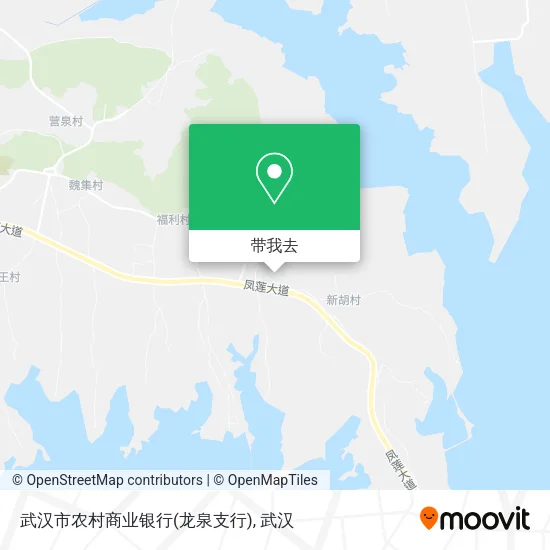 武汉市农村商业银行(龙泉支行)地图