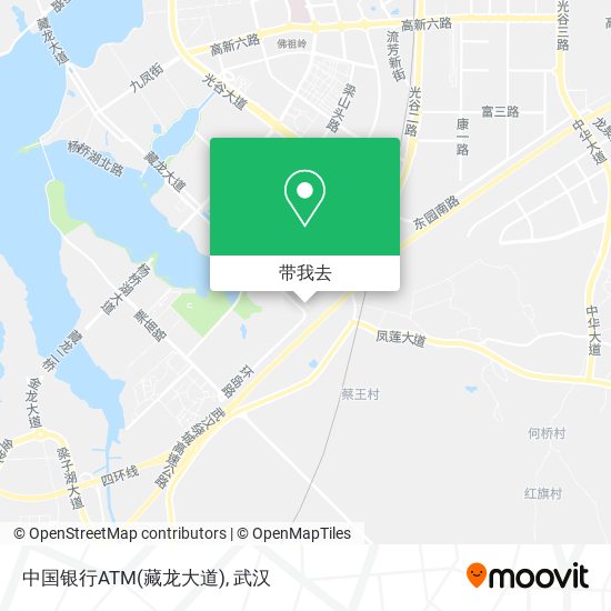 中国银行ATM(藏龙大道)地图