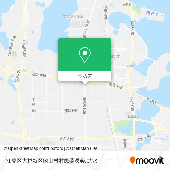 江夏区大桥新区豹山村村民委员会地图