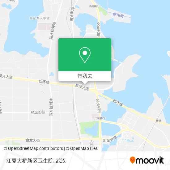江夏大桥新区卫生院地图