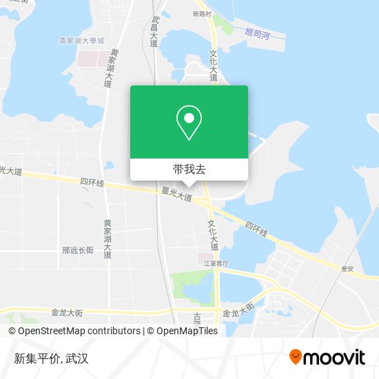 新集平价地图