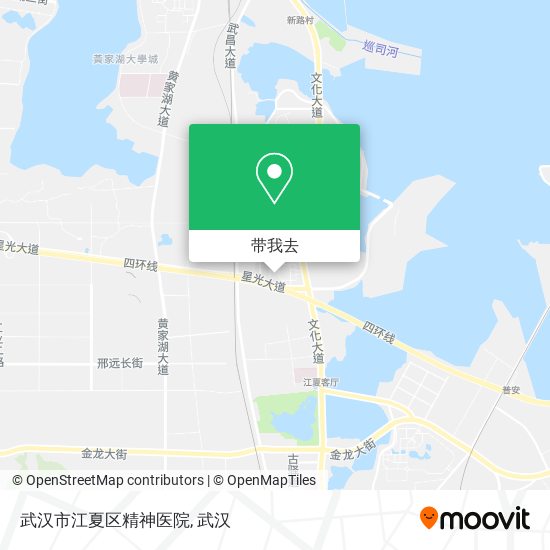 武汉市江夏区精神医院地图