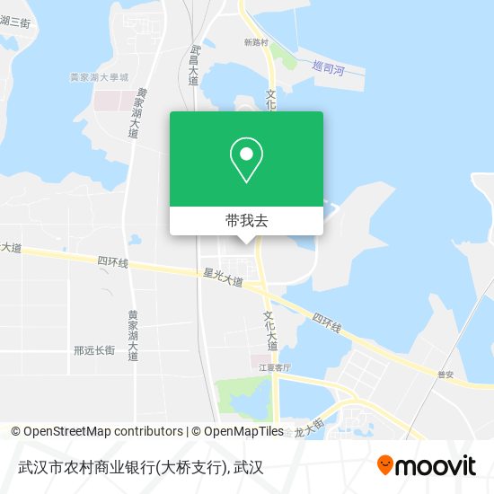 武汉市农村商业银行(大桥支行)地图