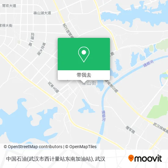 中国石油(武汉市西计量站东南加油站)地图