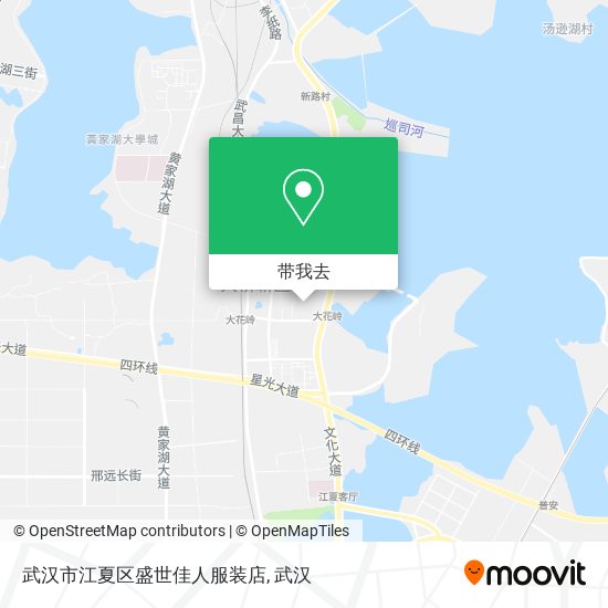 武汉市江夏区盛世佳人服装店地图
