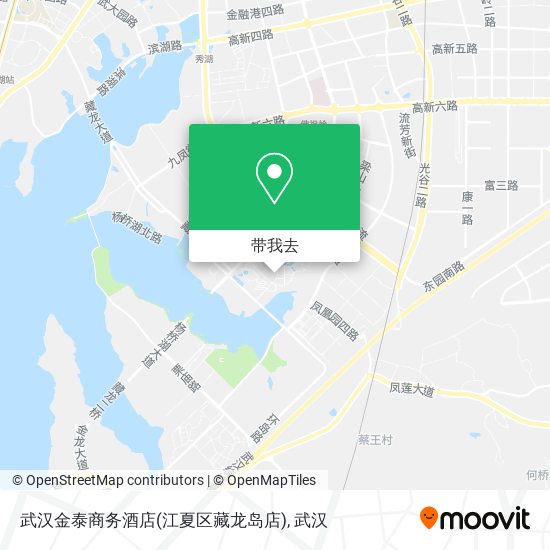 武汉金泰商务酒店(江夏区藏龙岛店)地图