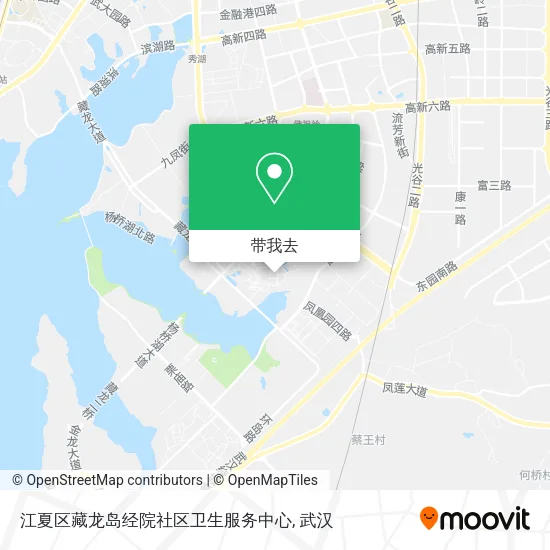 江夏区藏龙岛经院社区卫生服务中心地图