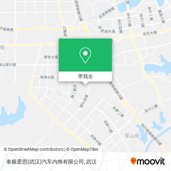 泰极爱思(武汉)汽车内饰有限公司地图