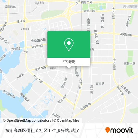东湖高新区佛祖岭社区卫生服务站地图