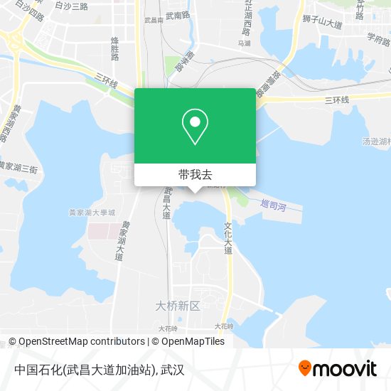 中国石化(武昌大道加油站)地图