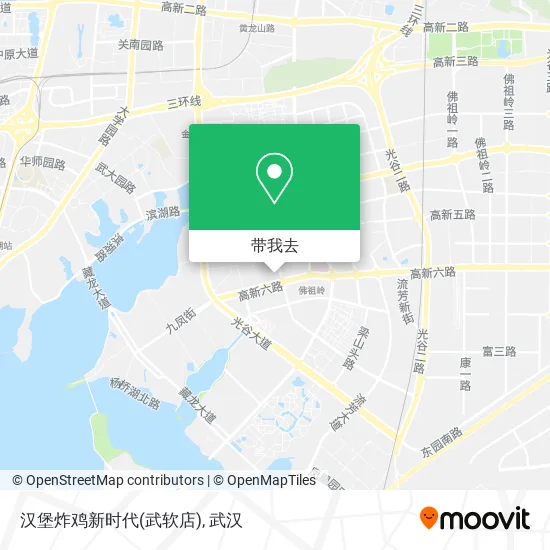 汉堡炸鸡新时代(武软店)地图