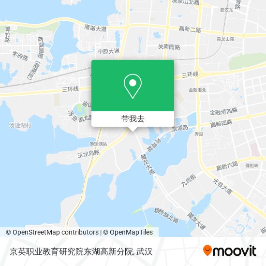 京英职业教育研究院东湖高新分院地图