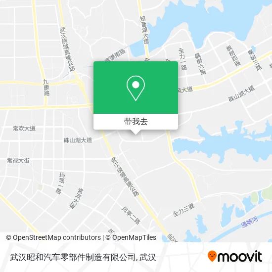 武汉昭和汽车零部件制造有限公司地图
