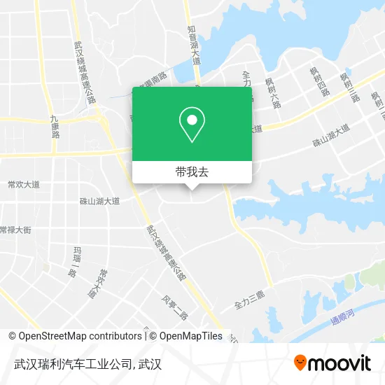 武汉瑞利汽车工业公司地图