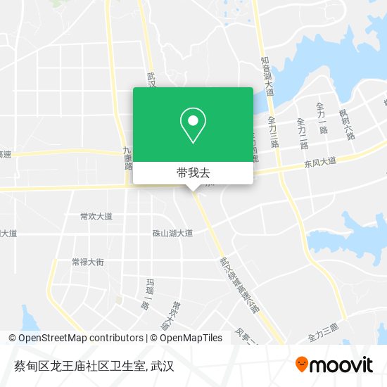 蔡甸区龙王庙社区卫生室地图