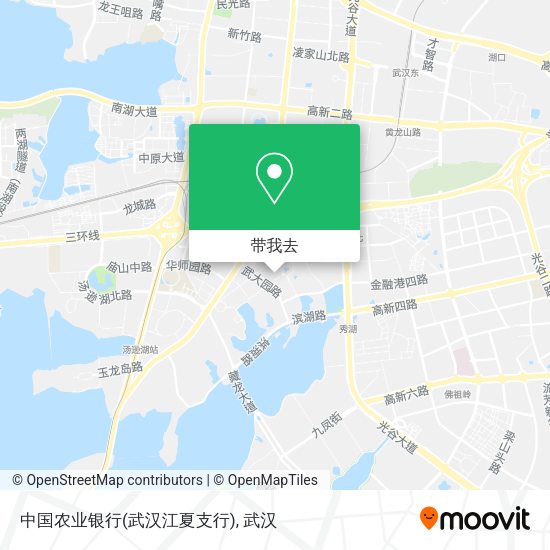 中国农业银行(武汉江夏支行)地图