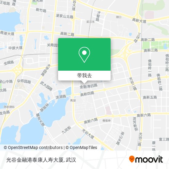光谷金融港泰康人寿大厦地图