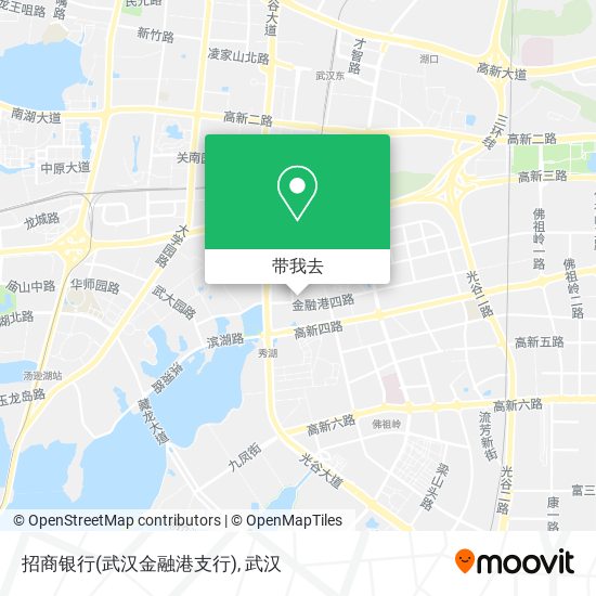 招商银行(武汉金融港支行)地图