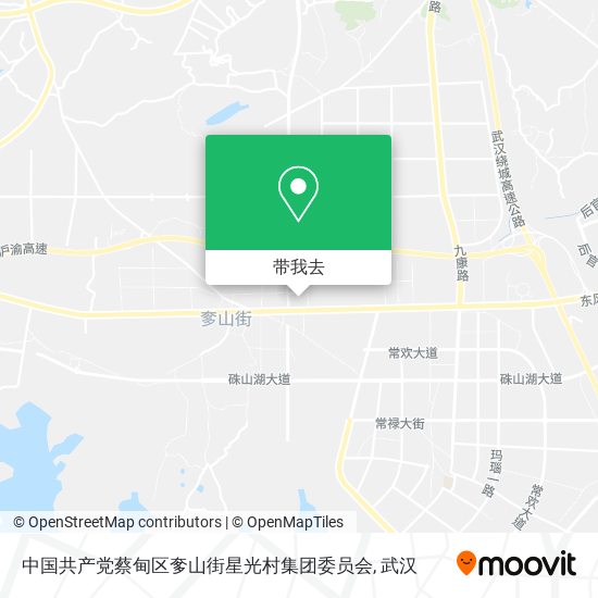 中国共产党蔡甸区奓山街星光村集团委员会地图