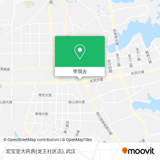 宏宝堂大药房(龙王社区店)地图