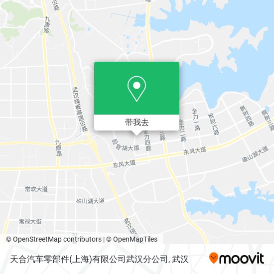 天合汽车零部件(上海)有限公司武汉分公司地图