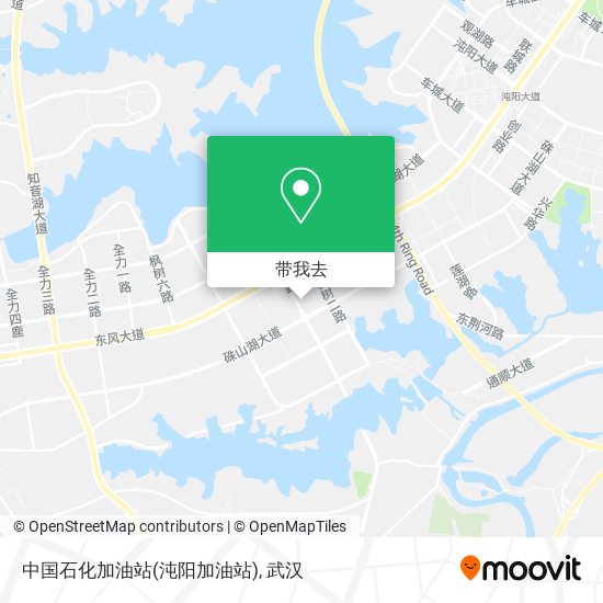 中国石化加油站(沌阳加油站)地图