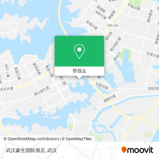 武汉豪生国际酒店地图