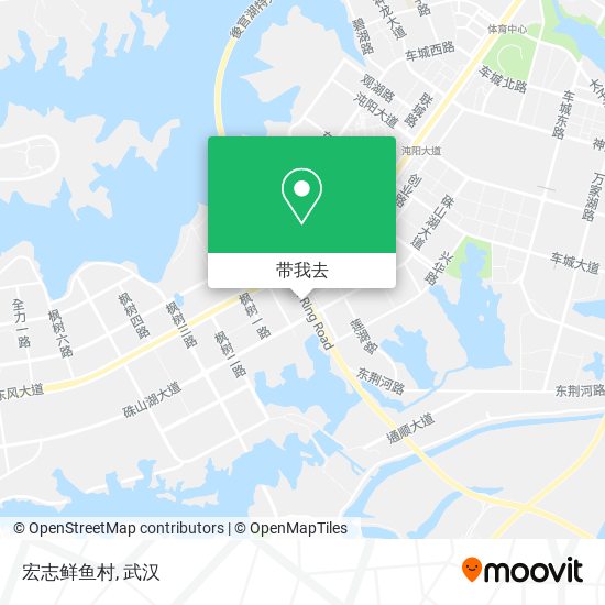 宏志鲜鱼村地图
