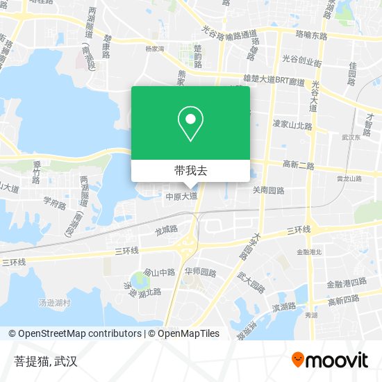 菩提猫地图
