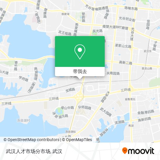 武汉人才市场分市场地图