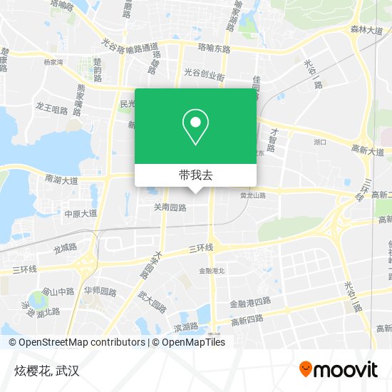 炫樱花地图