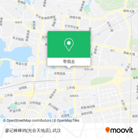 廖记棒棒鸡(光谷天地店)地图