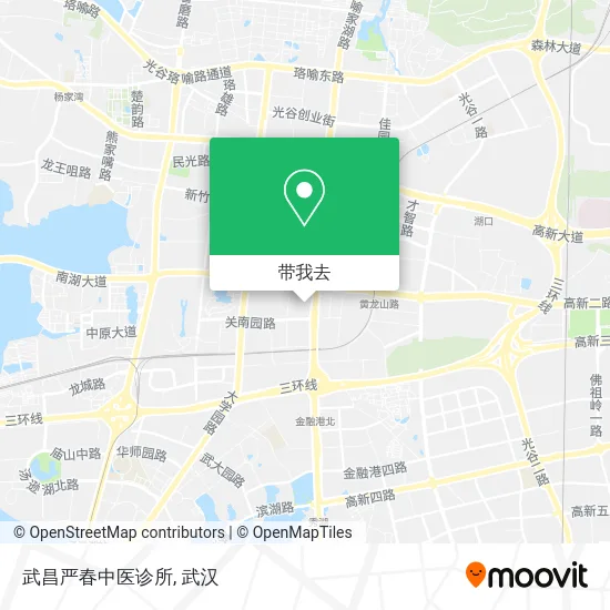 武昌严春中医诊所地图