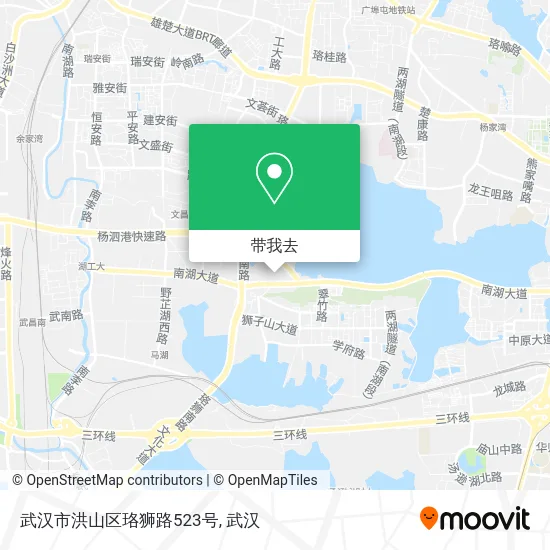 武汉市洪山区珞狮路523号地图