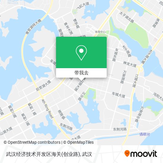 武汉经济技术开发区海关(创业路)地图