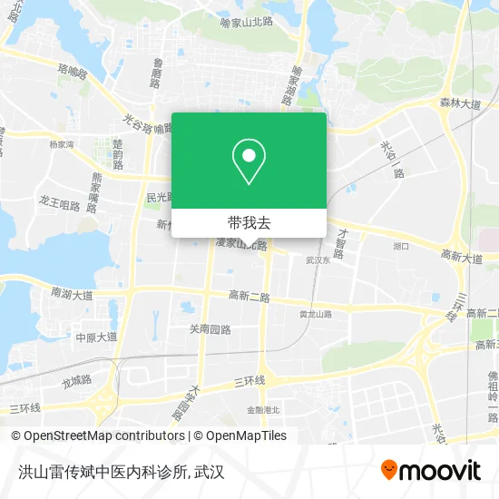 洪山雷传斌中医内科诊所地图