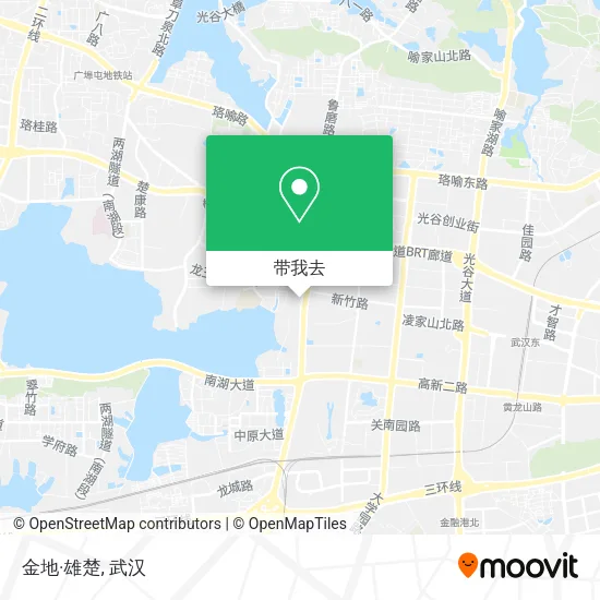 金地·雄楚地图