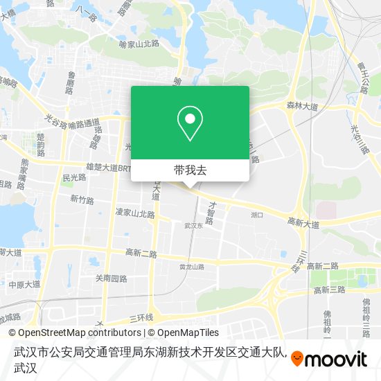 武汉市公安局交通管理局东湖新技术开发区交通大队地图